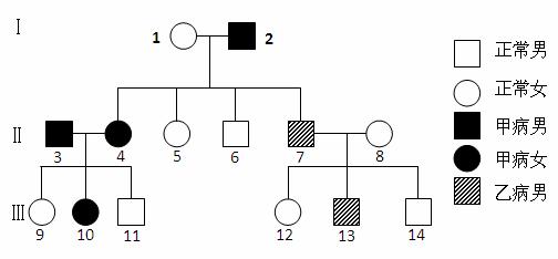 克氏综合征是一种性染色体数目异常的疾病.现
