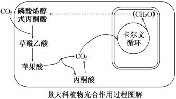 51胞间co2进入叶绿体内参与卡尔文循环时在条件下被化合物固定后还原