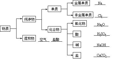 运用树状分类法对下列物质