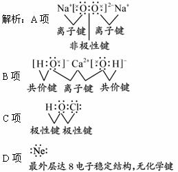 下列物质中,只含有一种类型的化学键的是( )