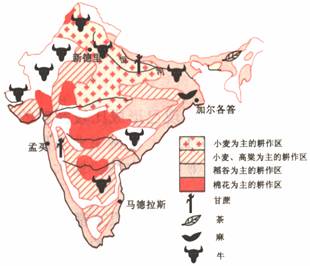 印度人口图片_印度的人口特征