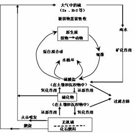 下图为生态系统中的硫循环示意图. 下图为我国三省量.