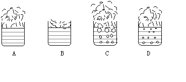 如图所示,正确描述水沸腾的是