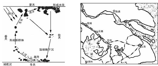 中国人口金字塔图形_中国人口金字塔图