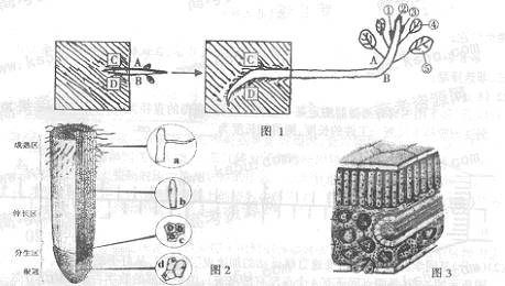 题目详情