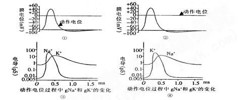 子代基因型为aabb和aabb.分离比为1:l.则这个亲本基因型为 a.aab