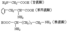 65n 11o 9,它彻底水解后只得到3种氨基酸(右图),则此多肽中含有赖氨酸