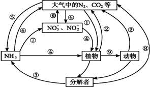 遇到连续阴雨天气,你认为采取何种措施对植物生长较为有利?