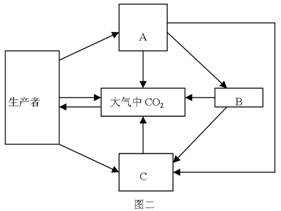 物质循环与能量流动是生态系统的两个重要功能下图中的abc和生产者