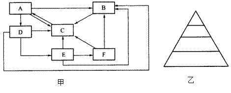 图甲是生态系统中碳循环示意图,图中"→"表示碳元素的流动方向.