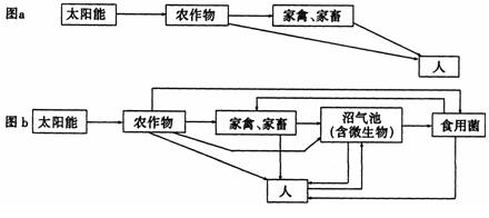 如图是两个农业生态系统的结构模式图图a是农作物为人类提供的食物量