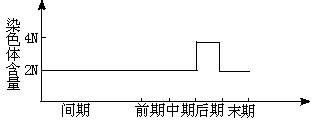 据图回答(1)完整的细胞周期是从 开始到 为止.