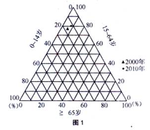 人口金字塔_人口增长金字塔图
