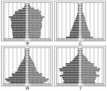 人口金字塔_2010年人口金字塔