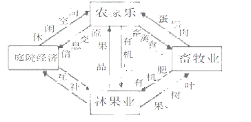 农村GDP指_农村房子图片