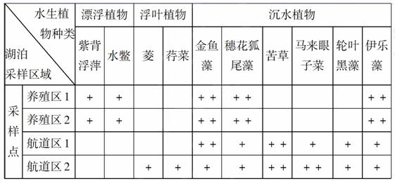 研究人员对养殖区及航道区水生植物群落和水环境状况进行了