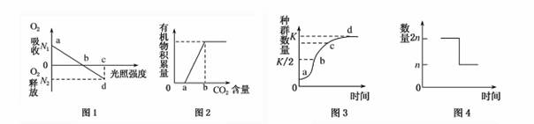 4.对下列四幅曲线图的描述正确的是