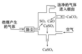 8868体育网页版登录南京农业大学动科学院朱伟云、苏勇教授团队揭示果胶重塑仔猪肠道微生态机制