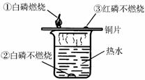 探究燃烧条件的实验装置如右图所示.