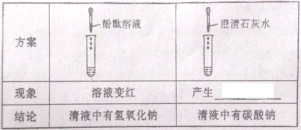 查阅资料1该固体酒精是用酒精氯化钙和氢氧化钠按一定的质量比混合制