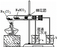 某天然碱中可能含有碳酸钠和碳酸氢钠,小明同学设计了如下实验探究其