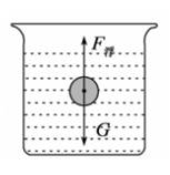 请在图中画出小球所受浮力和重力的示意图.