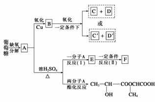 H2O的物质的量都相等.它的相对分子质量