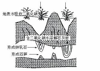 钟乳石和石笋的主要成分是碳酸钙,其形成过程如下图所示.