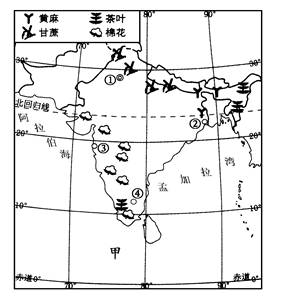 读南亚地区农作物分布示意图.回答1--3题. 1.甲