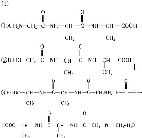 已知:Ⅰ.氨基酸分子()中.既有碱性的氨基(―NH
