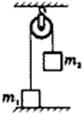 phy0001072102003.gif (2035 bytes)