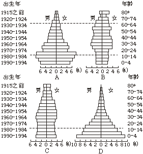 人口金字塔_对人口金字塔的分析
