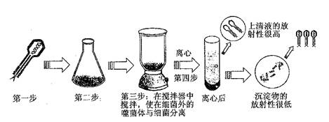 (18分)同位素的发现为探明许多生命的奥秘起了很重要的作用.