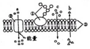  1 2