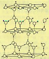 高中化学 题目详情  ⑴1mol冰中有        mol"氢键" ⑵水分子可电离