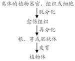 高中生物 题目详情    (二)植物组织培养过程 (1) 细胞的全能性.