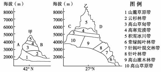 2,下图是不同纬度的两座山的垂直自然带分布图,读图回答下列问题.