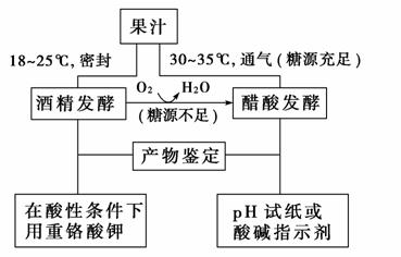 生物技术在食品加工中的应用十分广泛如果酒果醋的制作