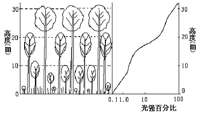 29下图为植物群落生长的分层现象下列对此现象的分析和解释中不正确的