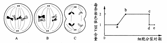 下面是某个高等动物体内细胞分裂的示意图,右面的曲线图表示该动物