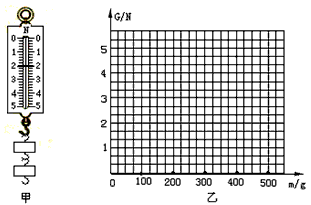 2根据表格中的实验数据在图乙中画出重力与质量的关系图像