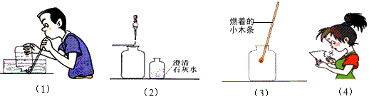 请根据在"我们吸入的空气和呼出的气体有什么不同"的活动与探究内容