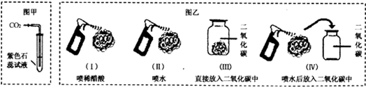 a同学的实验方案是将二氧化碳通入紫色石蕊试液中观察溶液的颜色变化