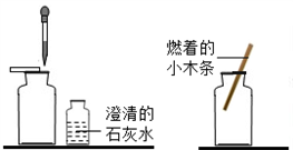 (2)如下图左所示,向一瓶空气和一瓶呼出的气体中各滴入数滴澄清石灰水