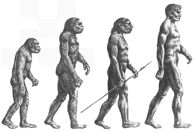 为什么人类进化需要几万年的时间?
