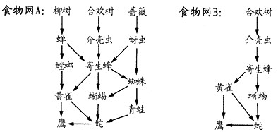 请分析下面两个生态系统中的食物网简图,回答问题