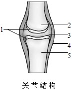 初中生物 题目详情 下图是关节结构模式图,请据图回答