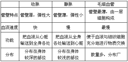 比较三种血管.填写下表: 题目和参考答案——青夏教育精英家教网