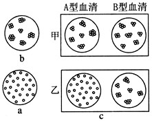 凝集成团则为凝集现象图b现有甲乙两位受检者的血型鉴定结果如图c所示