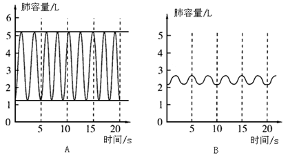 右下两幅曲线图表示某同学在两种不同状态下的呼吸情况.